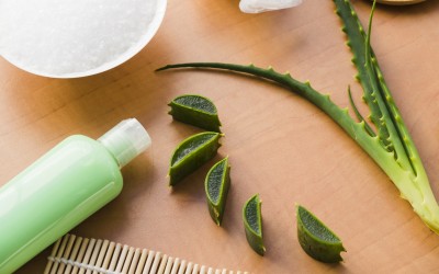 Aloe Vera Sabununun Faydaları: Doğal ve Etkili Bakımın Gücü